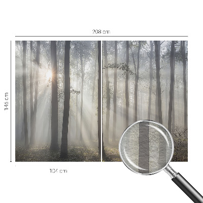 Fényképes tapéta Éteri Erdő