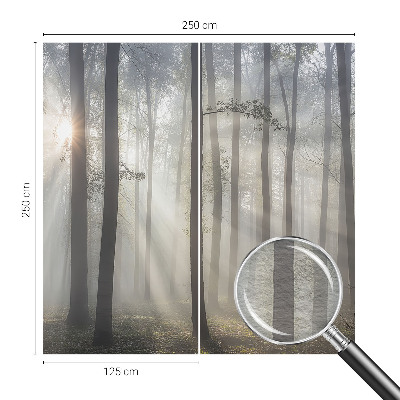 Fényképes tapéta Éteri Erdő