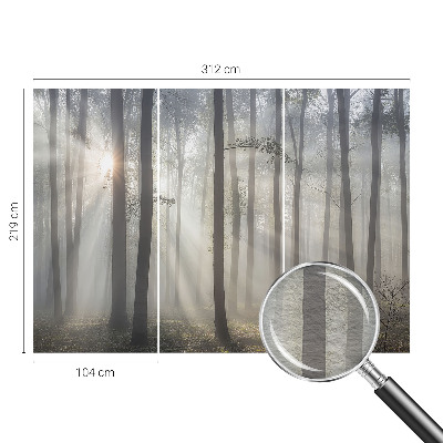 Fényképes tapéta Éteri Erdő