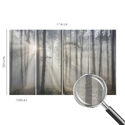 Fényképes tapéta Éteri Erdő