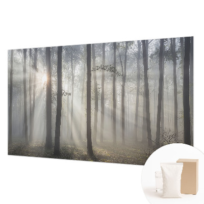 Fényképes tapéta Éteri Erdő