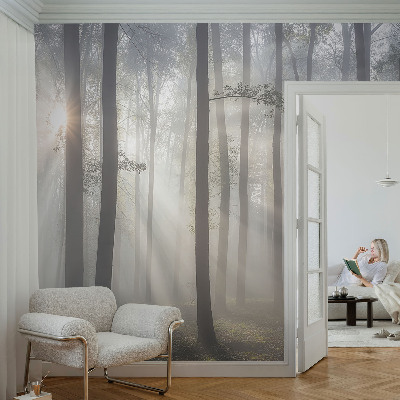 Fényképes tapéta Éteri Erdő