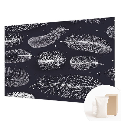 Dekoratív fotótapéta nappaliba Finom tollak