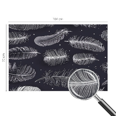 Dekoratív fotótapéta nappaliba Finom tollak