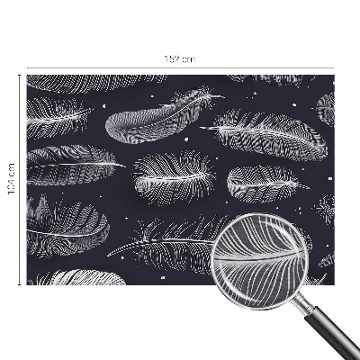 Dekoratív fotótapéta nappaliba Finom tollak