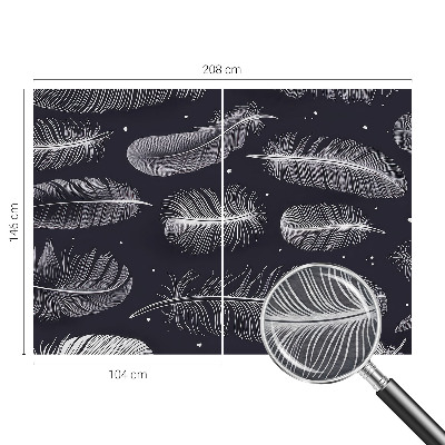 Dekoratív fotótapéta nappaliba Finom tollak