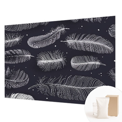 Dekoratív fotótapéta nappaliba Finom tollak