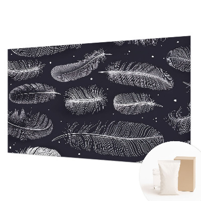 Dekoratív fotótapéta nappaliba Finom tollak