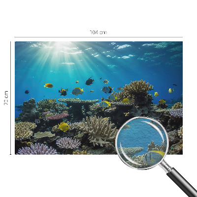 Óriás fotótapéta Víz alatti világ