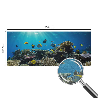 Óriás fotótapéta Víz alatti világ