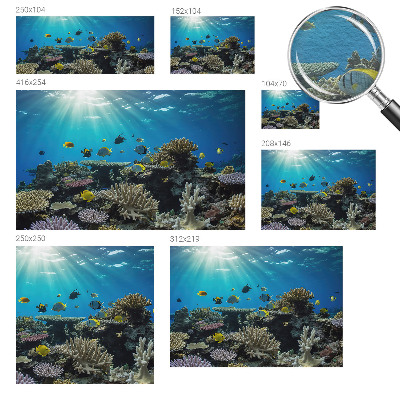 Óriás fotótapéta Víz alatti világ