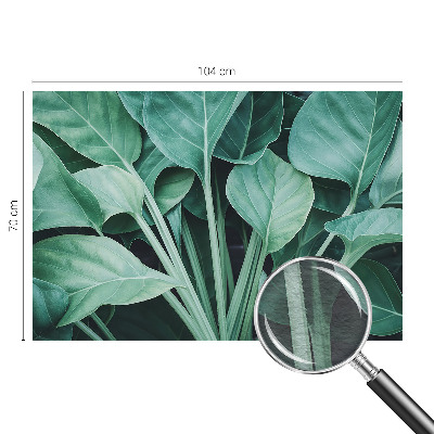 Vlies fotótapéta Zöld természet