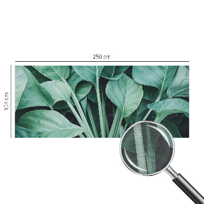 Vlies fotótapéta Zöld természet