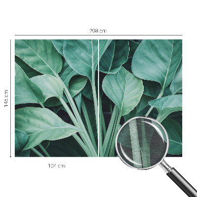 Vlies fotótapéta Zöld természet