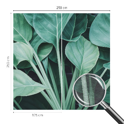 Vlies fotótapéta Zöld természet