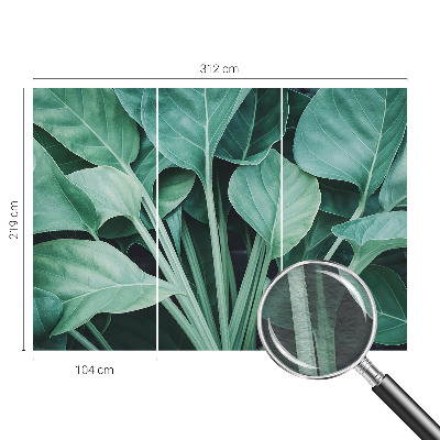 Vlies fotótapéta Zöld természet