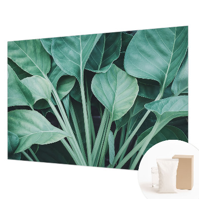 Vlies fotótapéta Zöld természet