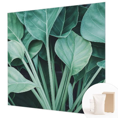 Vlies fotótapéta Zöld természet