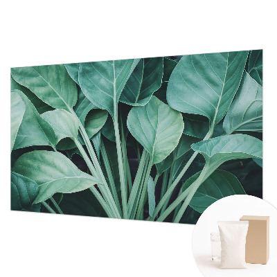 Vlies fotótapéta Zöld természet