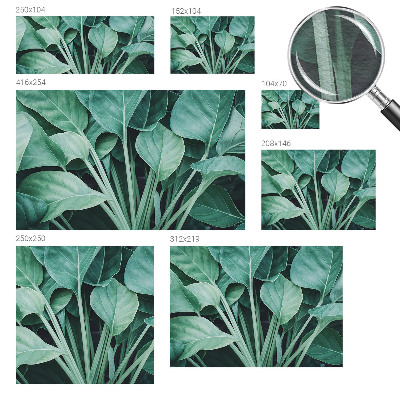 Vlies fotótapéta Zöld természet