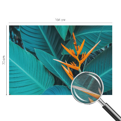 Dekor fotótapéta Leveles virágok