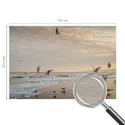 Kép tapéta Tengerparti nyugalom