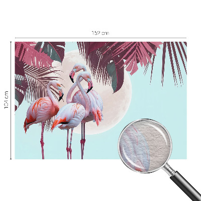 Vlies fotótapéta falra Egzotikus madarak