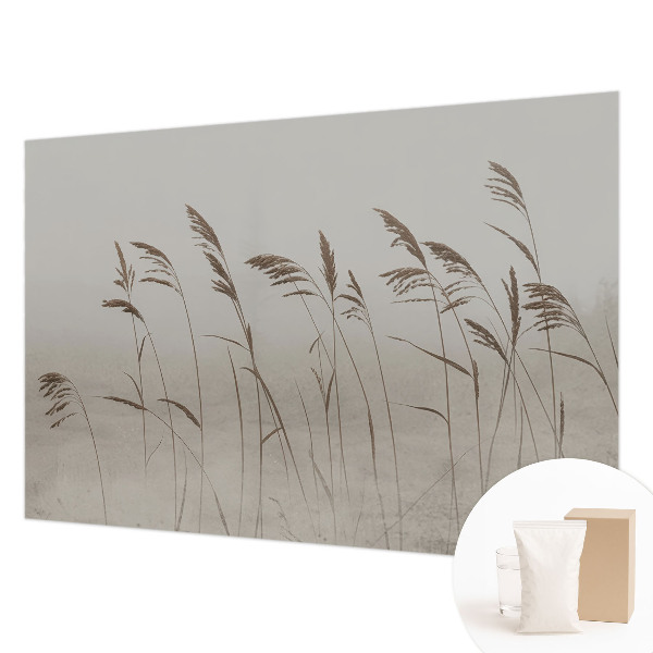 Kép tapéta Füvek a ködben