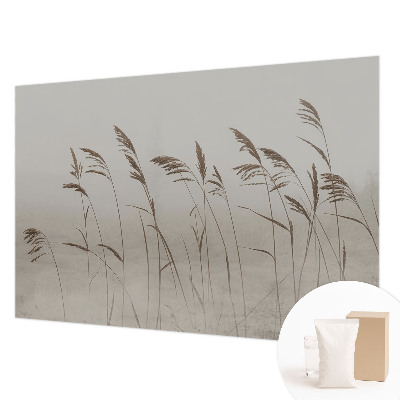 Kép tapéta Füvek a ködben