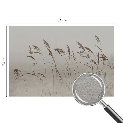 Kép tapéta Füvek a ködben