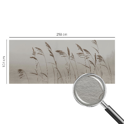 Kép tapéta Füvek a ködben