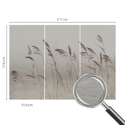 Kép tapéta Füvek a ködben