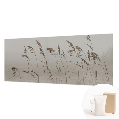 Kép tapéta Füvek a ködben