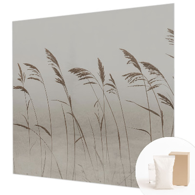 Kép tapéta Füvek a ködben