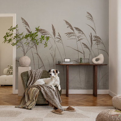 Kép tapéta Füvek a ködben