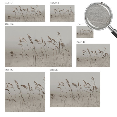 Kép tapéta Füvek a ködben