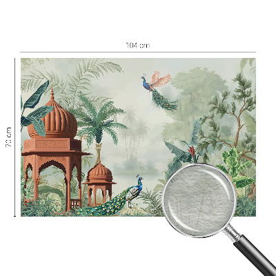 Modern fotótapéta méretre Pávakertek