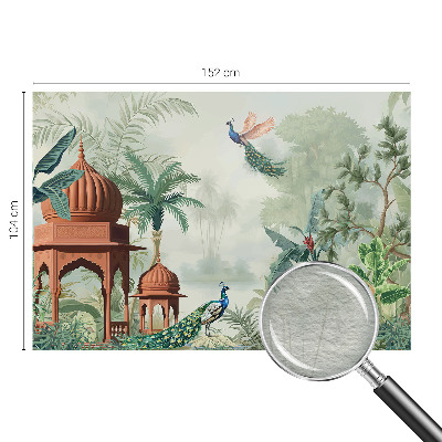 Modern fotótapéta méretre Pávakertek