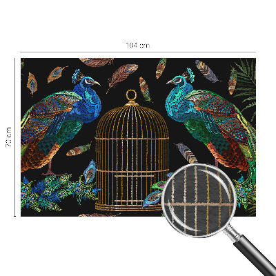 Fali poszter tapéta Páva kép