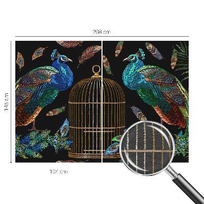 Fali poszter tapéta Páva kép