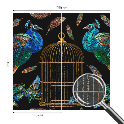 Fali poszter tapéta Páva kép