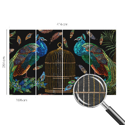 Fali poszter tapéta Páva kép