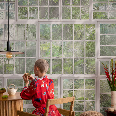 Fotótapéta méretre Zöld erdő