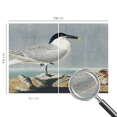 Fotótapéta méretre Madártani elegancia