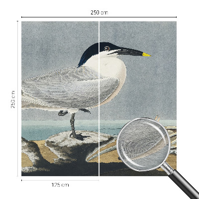 Fotótapéta méretre Madártani elegancia