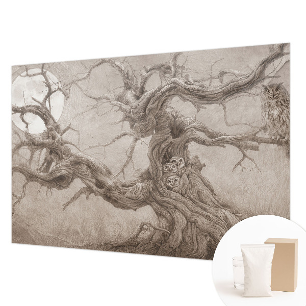 Vlies fotótapéta hálószobába Éjszakai madarak