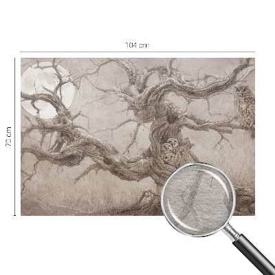 Vlies fotótapéta hálószobába Éjszakai madarak