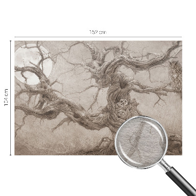 Vlies fotótapéta hálószobába Éjszakai madarak