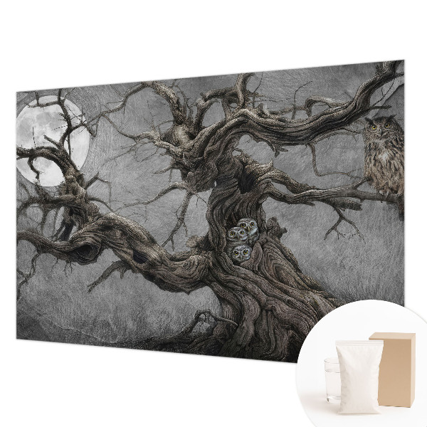 Modern fotótapéta Titokzatos bagoly