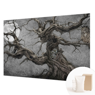 Modern fotótapéta Titokzatos bagoly